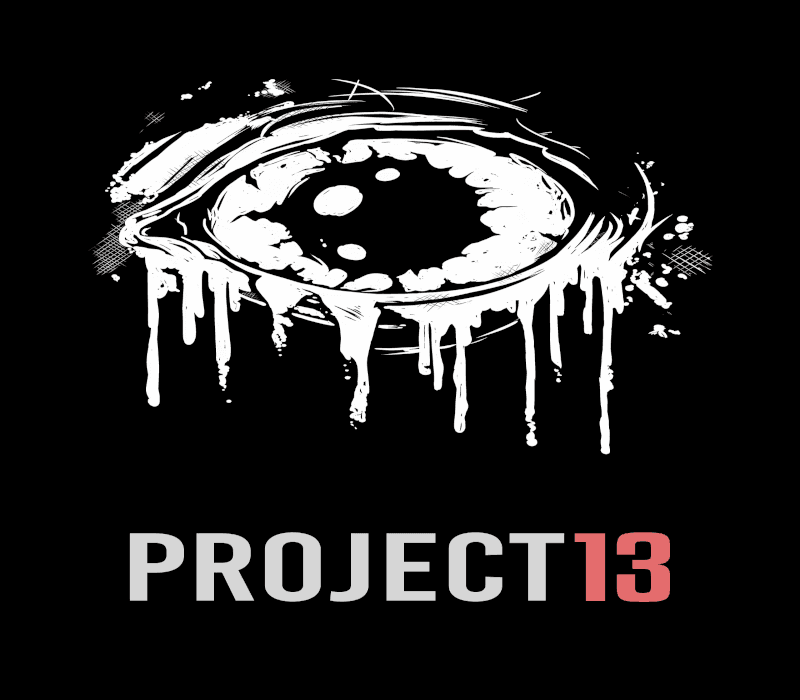 Project 13 cover art
