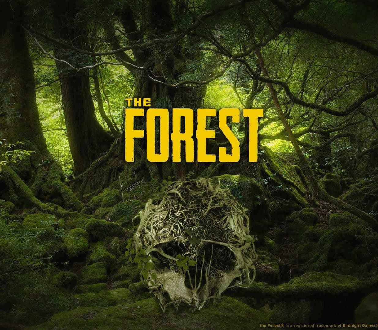 The Forest cover art