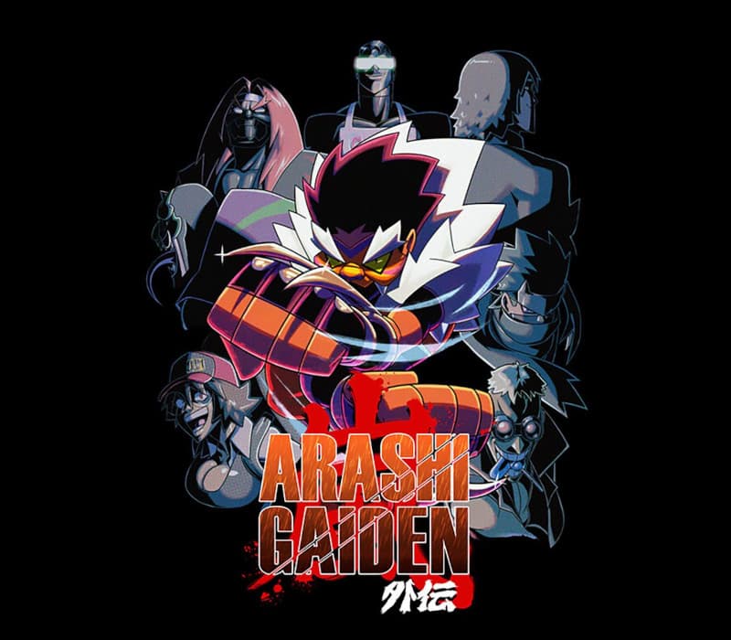 Arashi Gaiden cover art