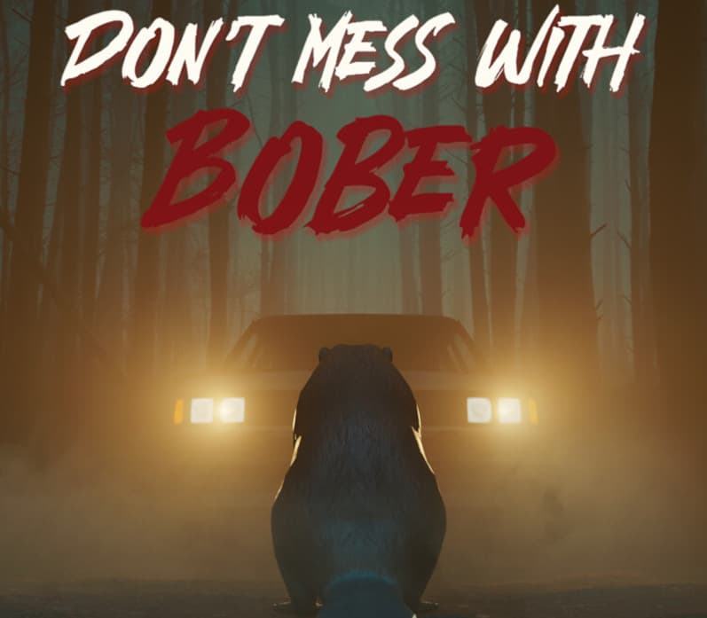 Don't Mess With Bober cover art